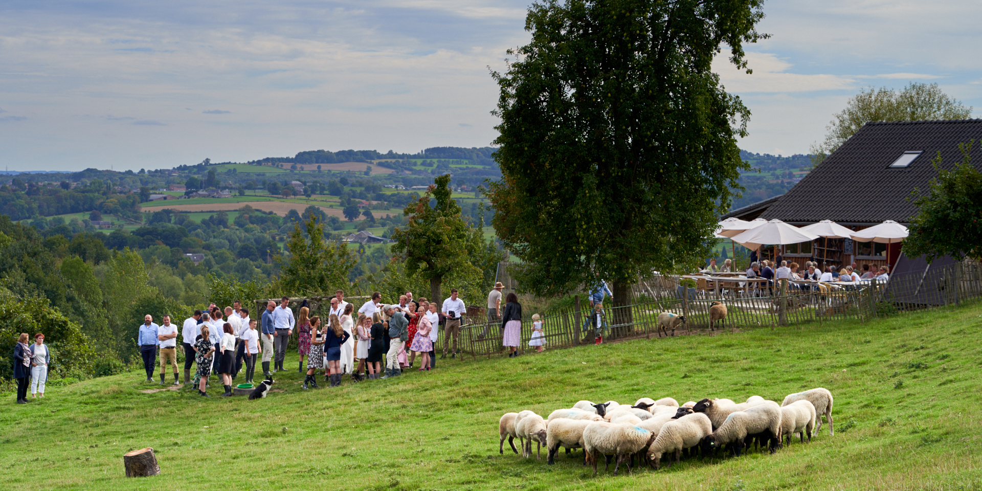 Green hills as a calm environment for reflection during an offsite meeting