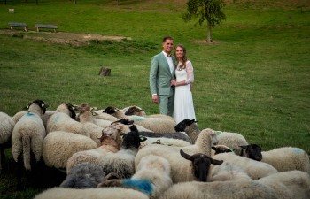 Bruidspaar tussen de schapen in het Zuid-Limburgse heuvellandschap